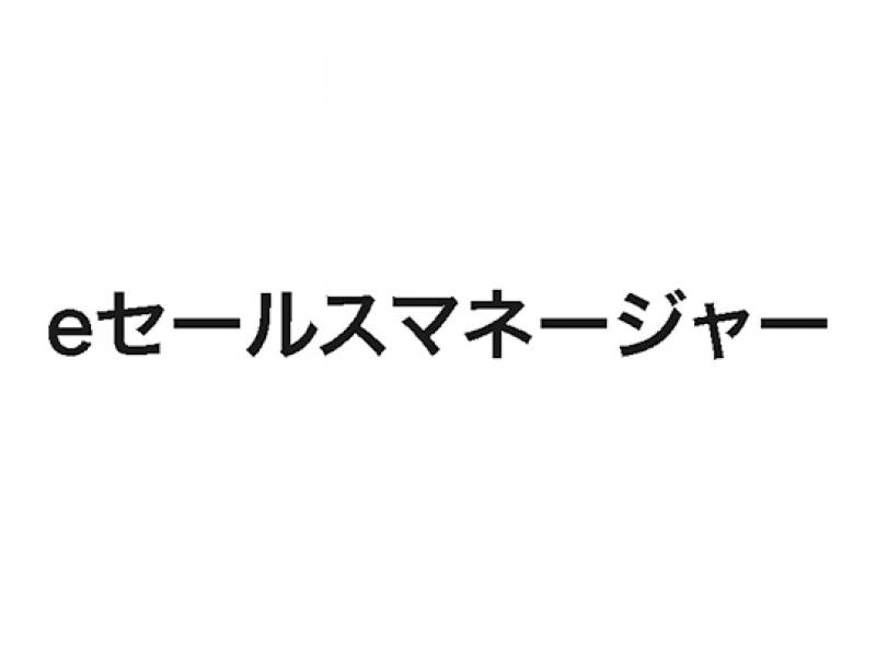 eセールスマネージャー(さん)のメインイメージ