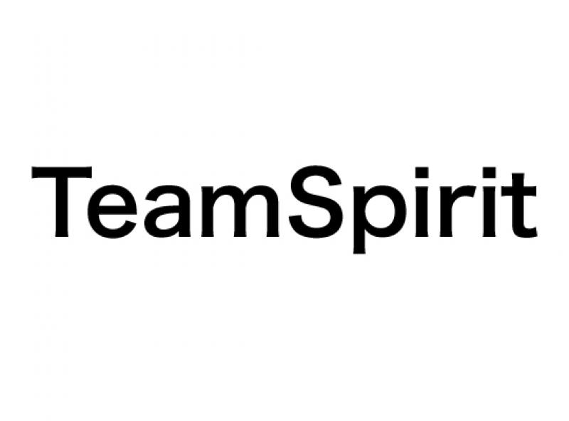 TeamSpirit(さん)のメインイメージ