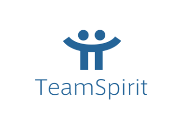 Team Spirit 働き方改革